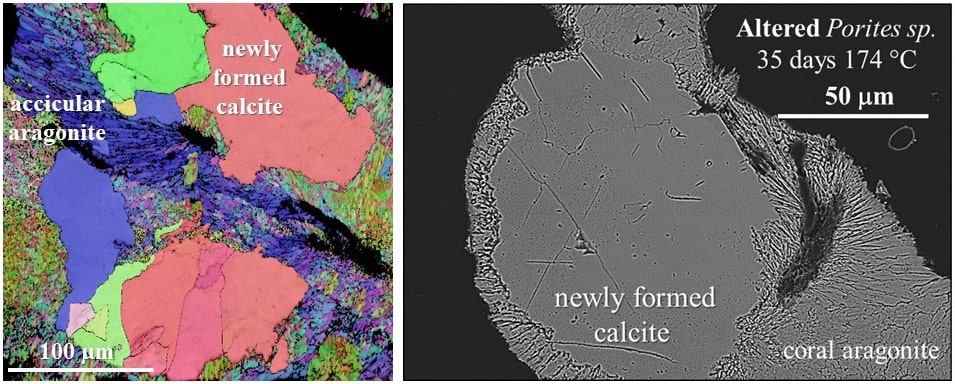 Hydrothermal alteration of coral aragonite for deciphering the effect of microstructure to diagenetic overprint Casella et al. Biogeosciences 2019. Left-hand image: color-coded EBSD map.